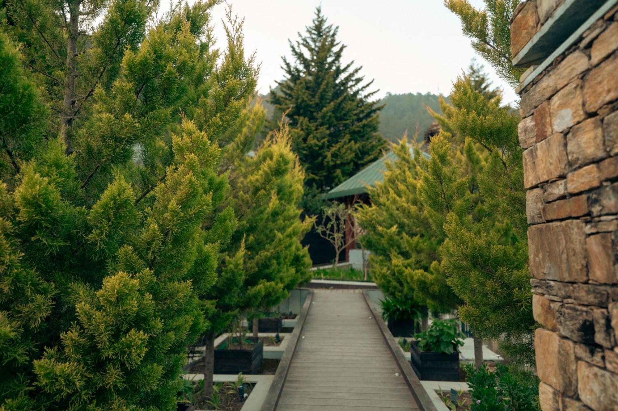 Brij Atmanya Bhowali, Nainital, A Luxury Mountain Escape Екстериор снимка